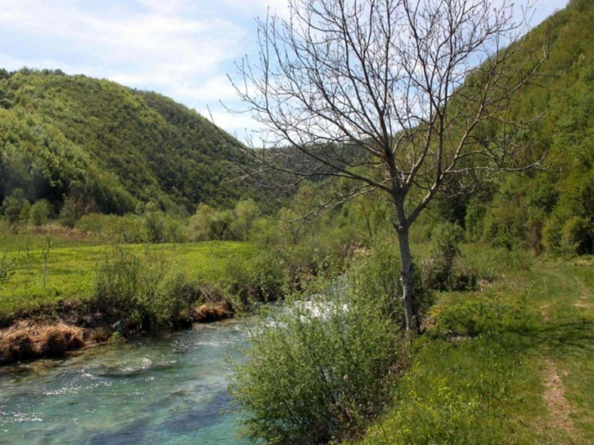 Appealing In With Shared Pool * Makarska